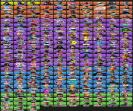 Unique Battle Royale Collection with 243 Skins on PC 🎭🖥