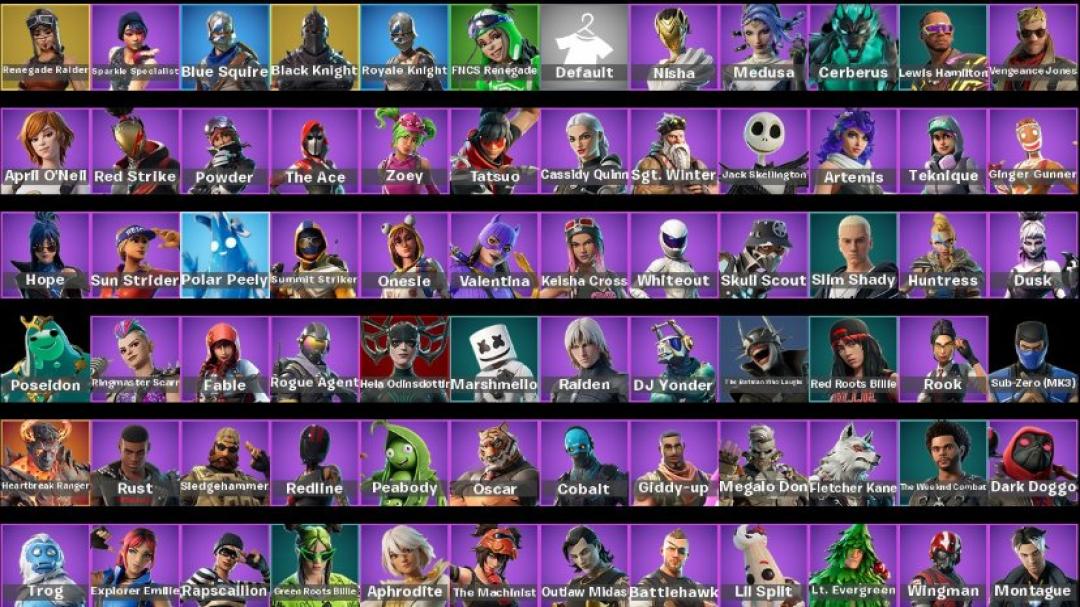 Diverse Collection of 134 Unique Skins for Battle Royale (PC)