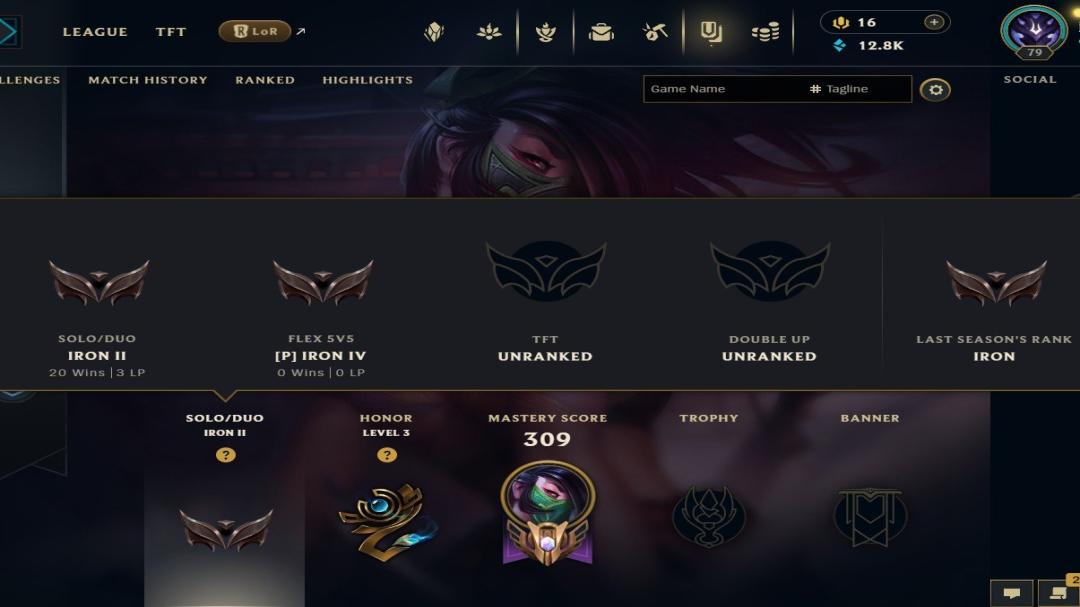 Diverse Collection of Champions and Skins on Latin America North