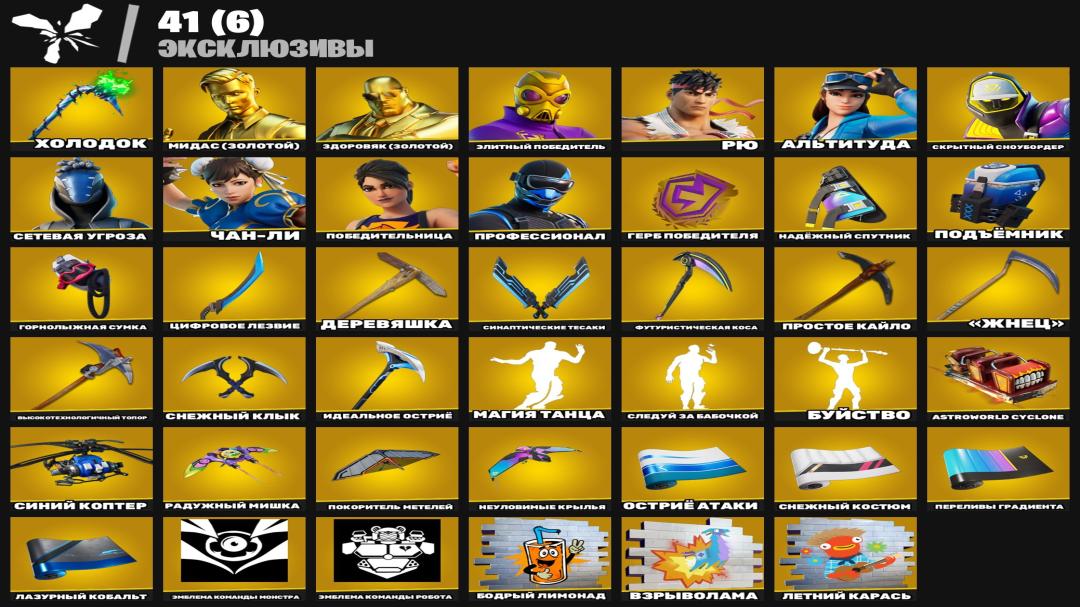 🎮 PC Battle Royale Account | 256 Skins | 1 pcs. in Stock | Sale 🛡