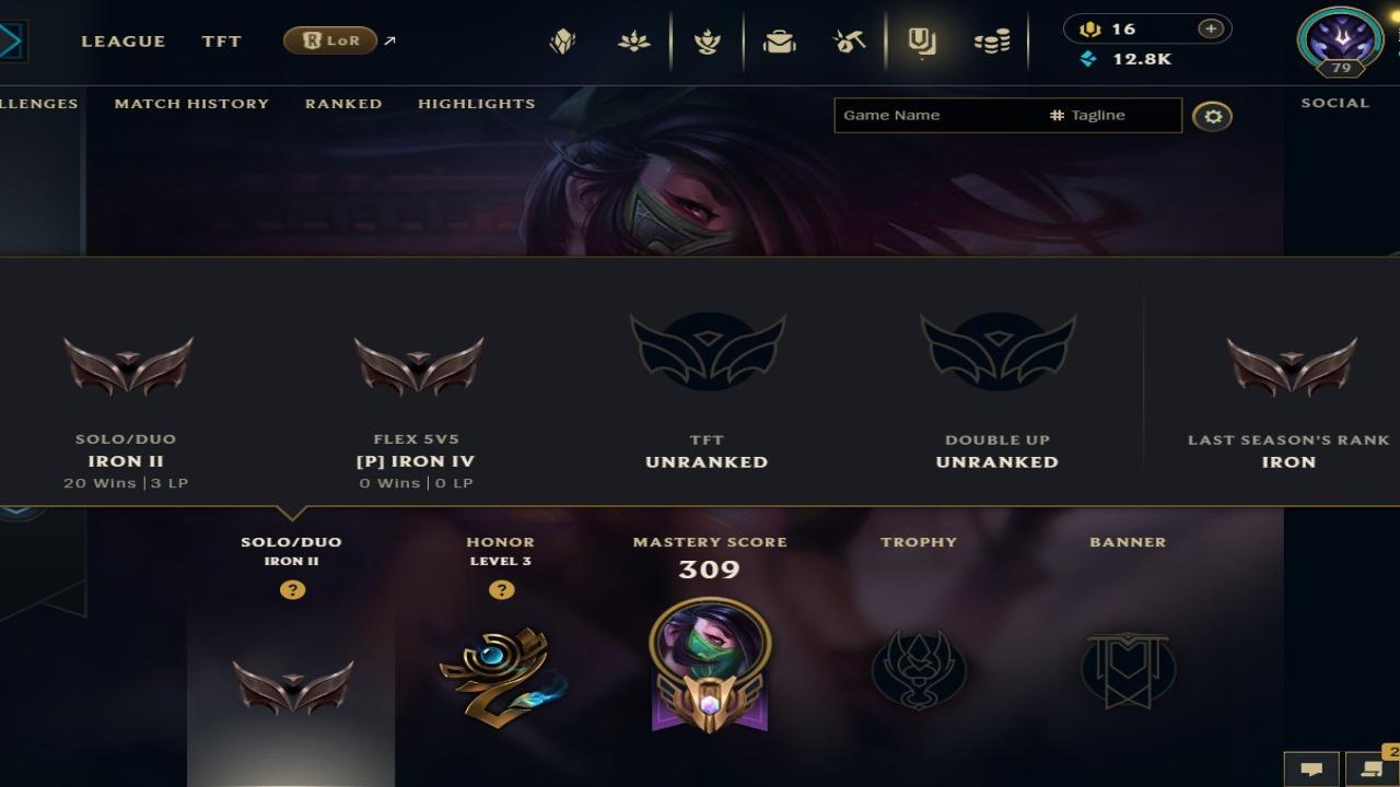 Diverse Collection of Champions and Skins on Latin America North
