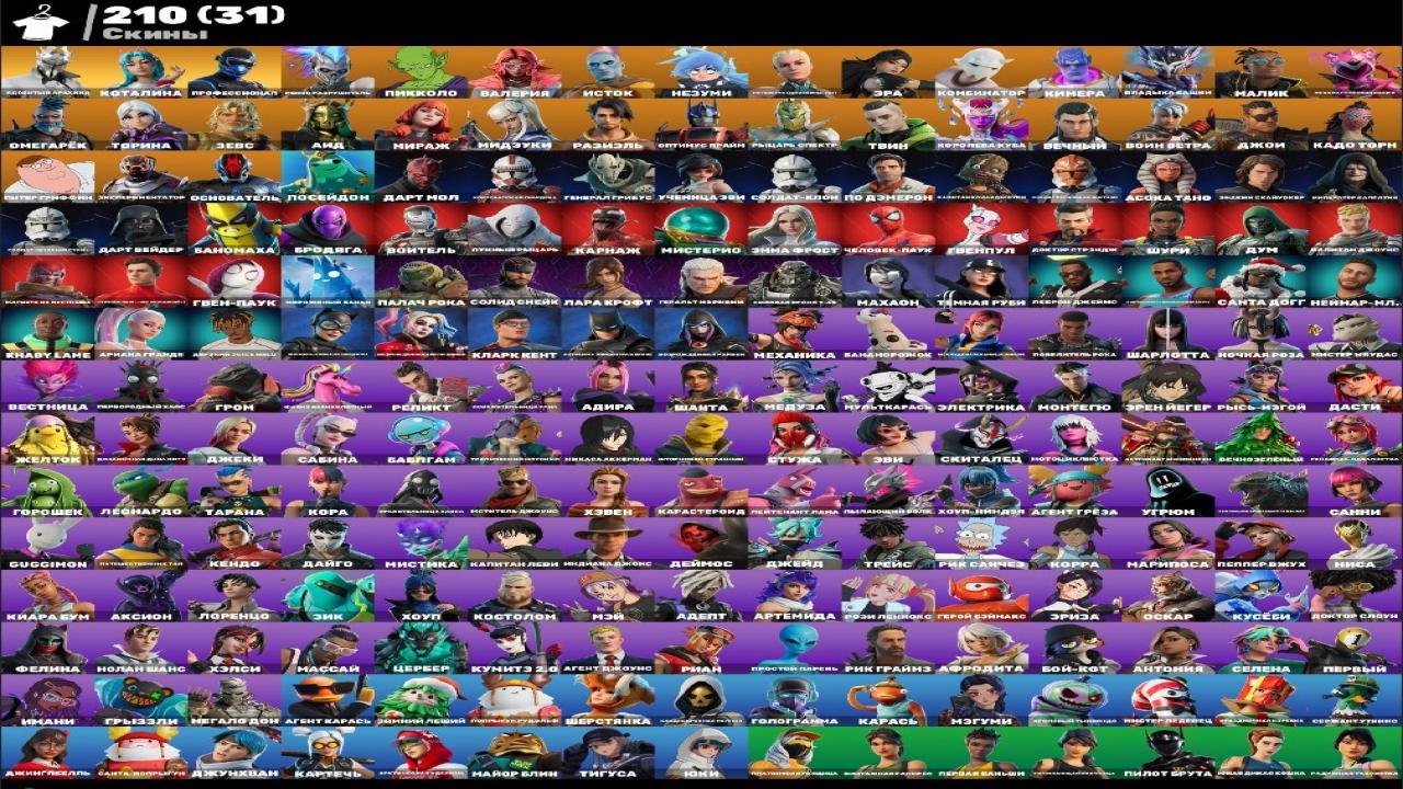 🎮 PC Battle Royale Account: 210 Skins, 1 pcs. in stock