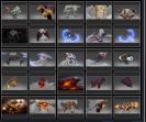 High-Ranked Dota 2 Account with 5600 MMR and 10000 Matches