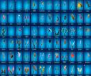 Diverse Collection of 196 Skins for PC Battle Royale 🎭🖥
