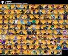 🎮 PC Battle Royale Account: 210 Skins, 1 pcs. in stock