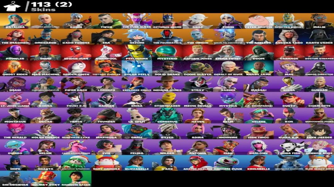 Diverse Fortnite Collection with 113 Unique Skins 🎭🖥