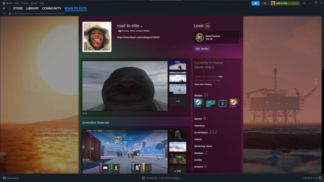 Prime CS2 Account with 25000 Rating and 2000 FACEIT ELO
