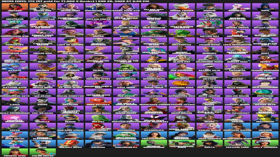 Battle Royale Account with 173 Unique Skins on PC 🎭🖥