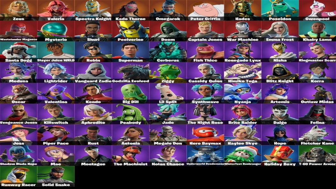 Diverse Fortnite Collection with 74 Unique Skins on PC 🎭🖥