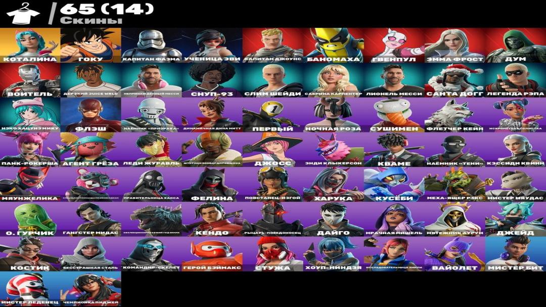 Diverse Collection of 65 Unique Skins for PC Battle Royale