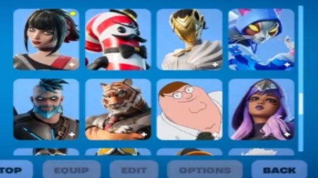 Diverse Fortnite Collection with 87 Unique Skins on PC 🎭🖥