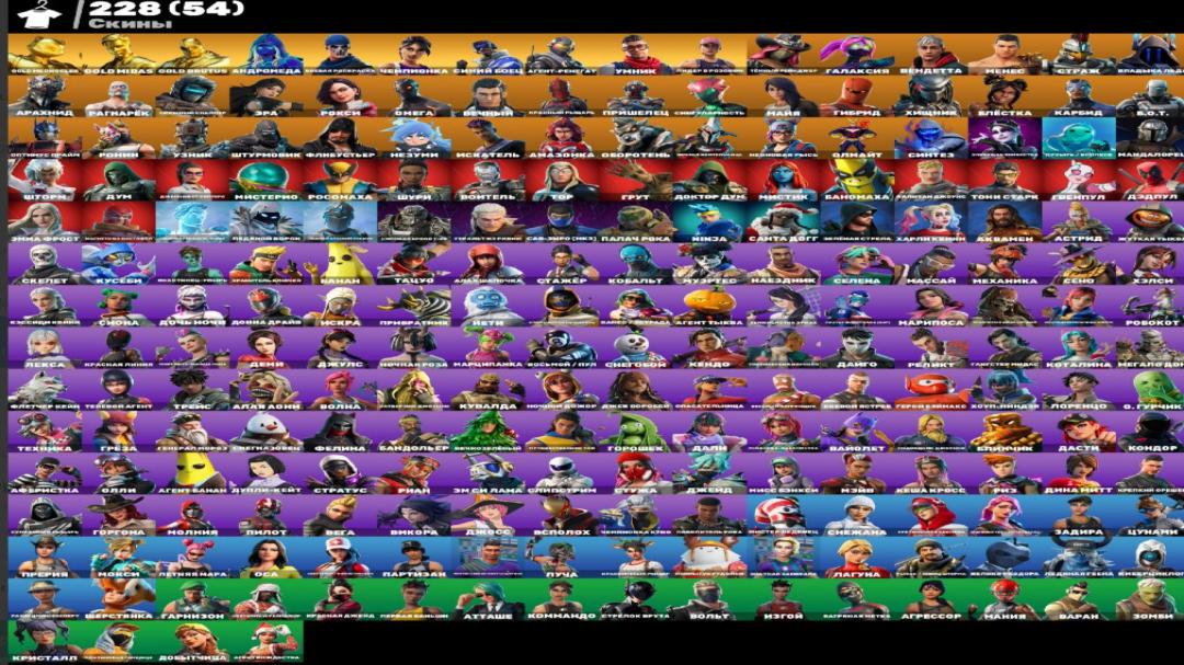Diverse Fortnite Collection with 228 Unique Skins 🎭🖥