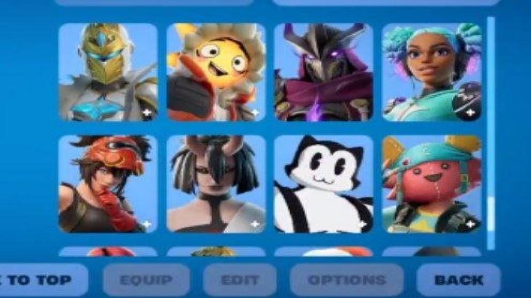 Diverse Fortnite Collection with 87 Unique Skins on PC 🎭🖥