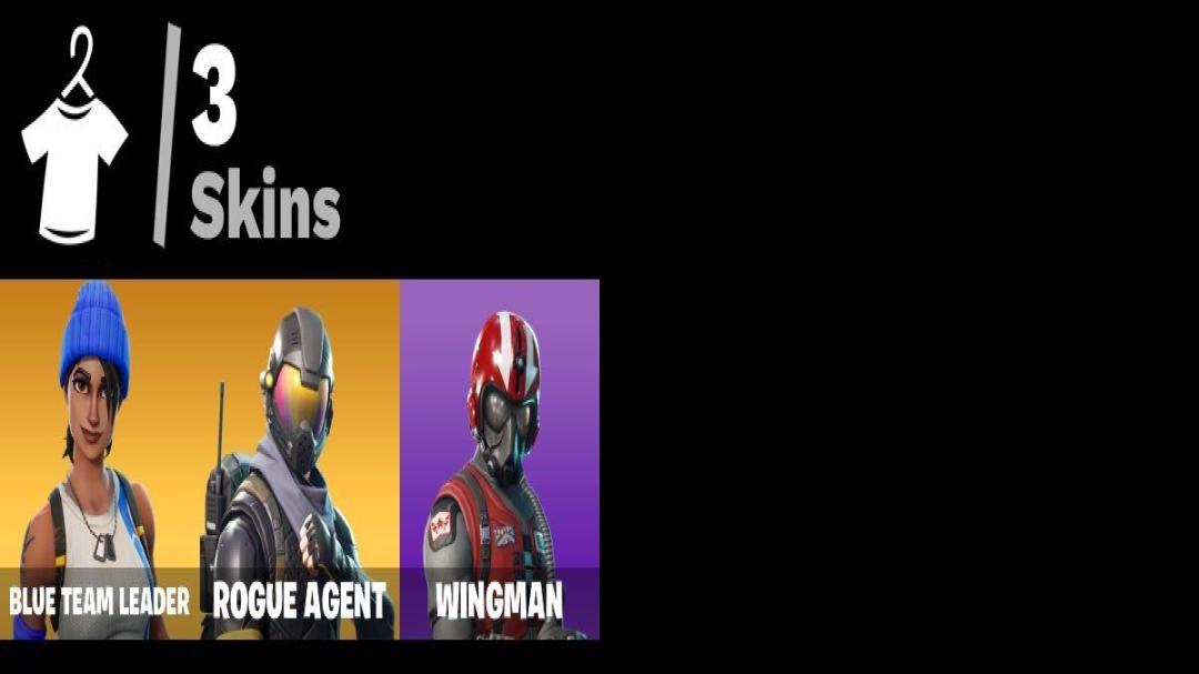 Diverse Fortnite Collection with Unique Skins on PC 🎭🖥