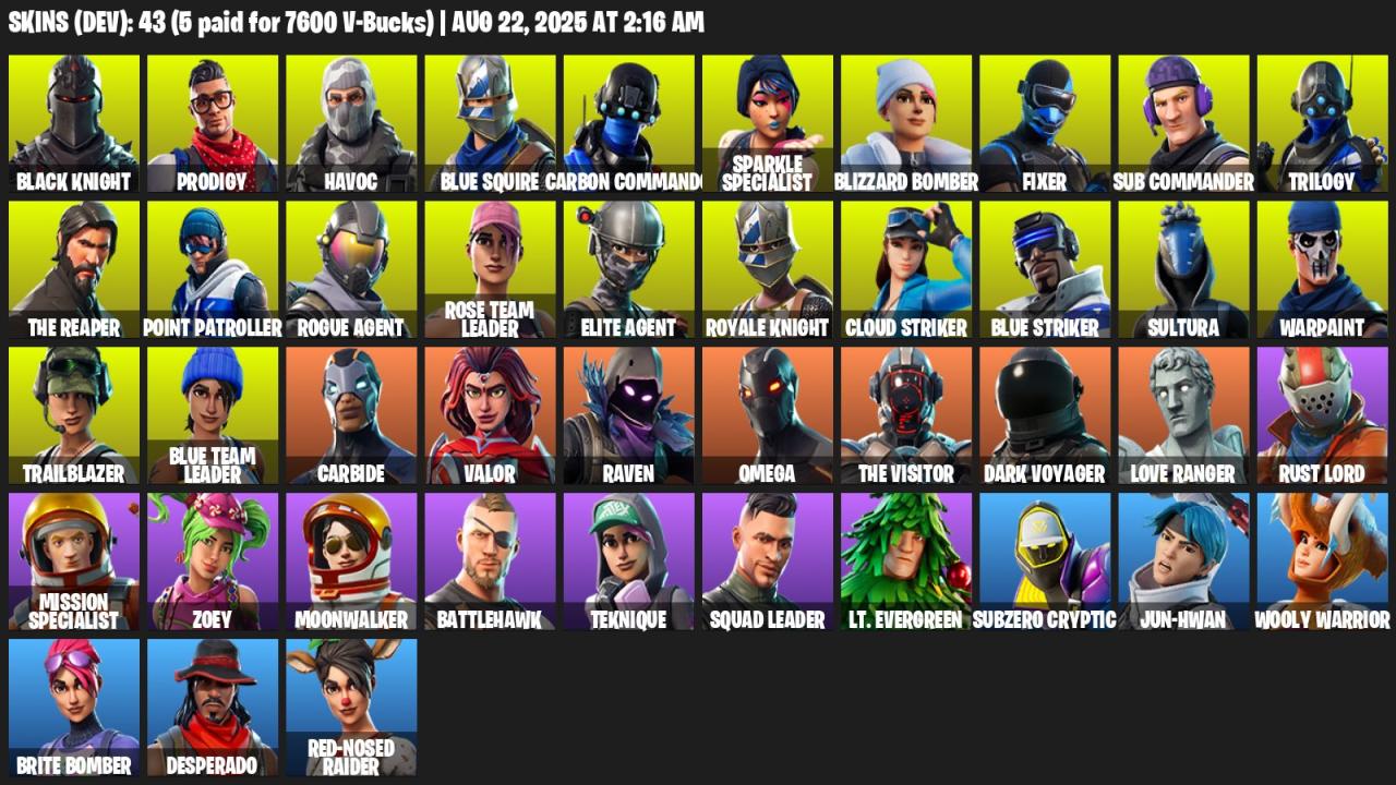 Diverse Collection of 43 Skins for PC Battle Royale 🎭🖥