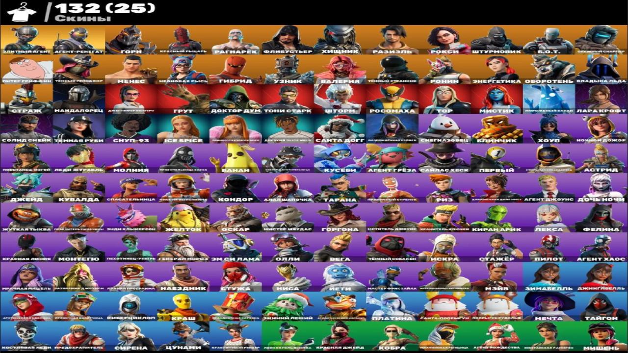 Diverse Fortnite Collection with 222 Unique Skins on PC 🎭🖥