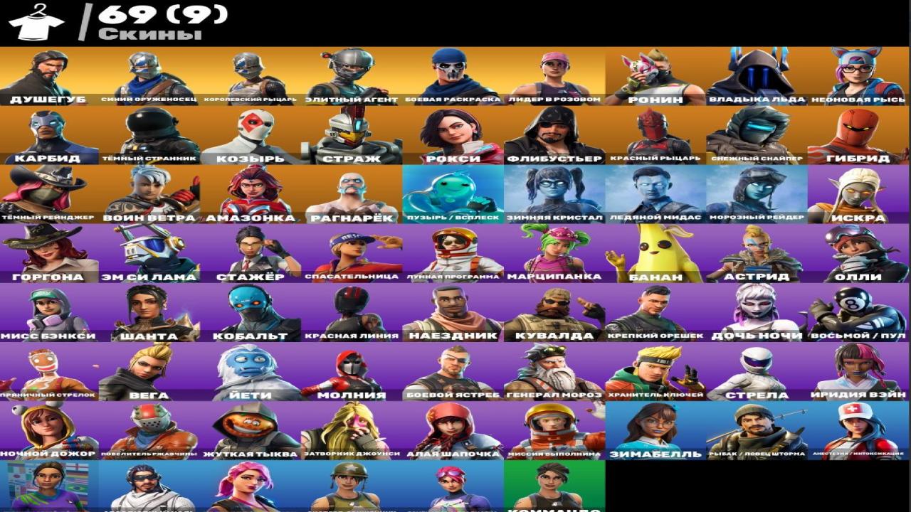 Diverse Fortnite Collection with 69 Unique Skins 🖥🎭