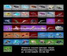 Diverse Collection of 31 Unique Skins on PC Battle Royale 🎭🖥