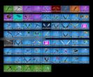 Diverse Collection of 46 Skins for PC Battle Royale 🎭🖥