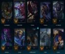 Diverse Champion Collection on EU West Server, Level 129