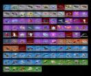 Unique PC Battle Royale Collection with 120 Skins 🎭🖥