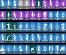 Diverse Collection of 134 Unique Skins for Battle Royale (PC)