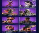 Unique Battle Royale Collection with 48 Skins on PC 🎭🖥