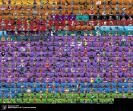 Impressive Collection of 417 Unique Skins for PC Battle Royale 🎭🖥
