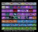 Battle Royale Account with 100 Unique Skins Available Now!