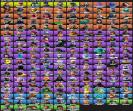 Diverse Collection of 186 Skins for PC Battle Royale