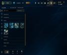 Diverse Collection with 170 Champions and 348 Skins
