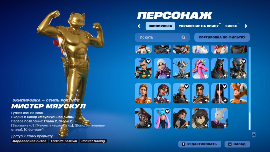 Diverse Fortnite Experience with 119 Unique Skins 🎭