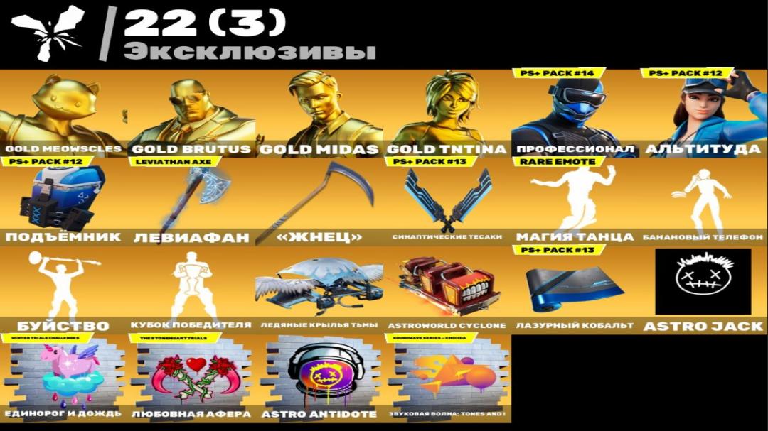 Diverse Fortnite Collection with 113 Skins on PC 🎭🖥
