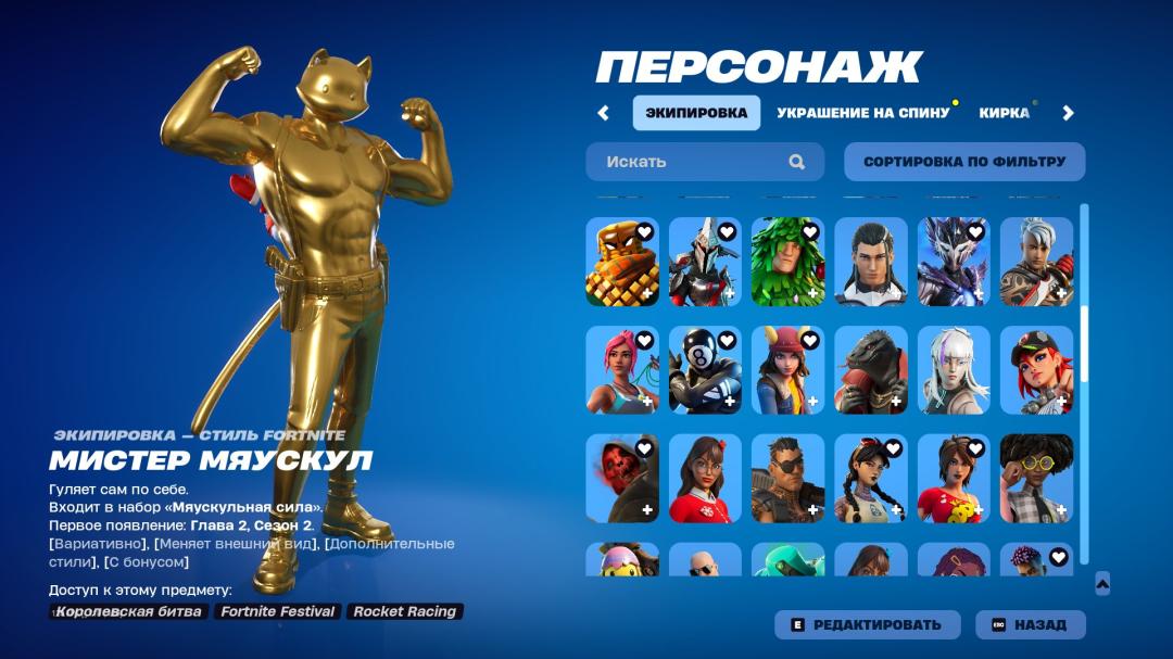 Diverse Fortnite Experience with 119 Unique Skins 🎭