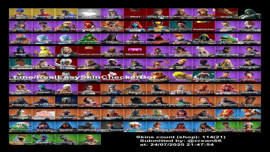Unique Fortnite Collection with 115 Skins on PC 🎭🖥