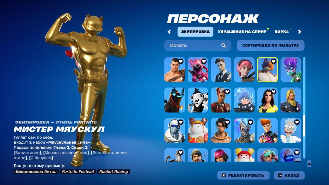 Diverse Fortnite Experience with 119 Unique Skins 🎭