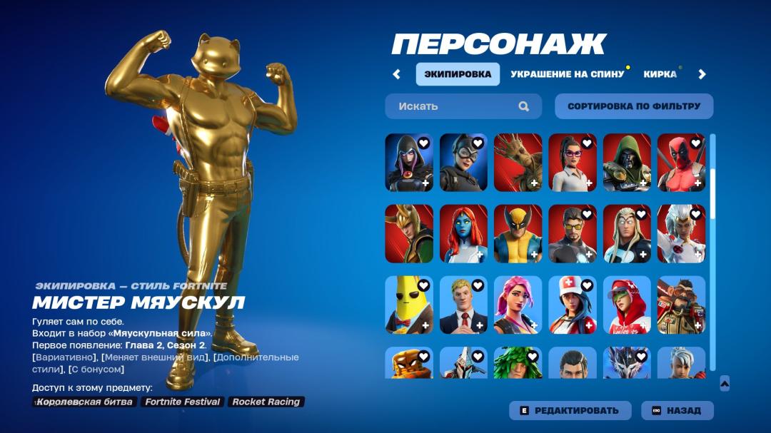 Diverse Fortnite Experience with 119 Unique Skins 🎭