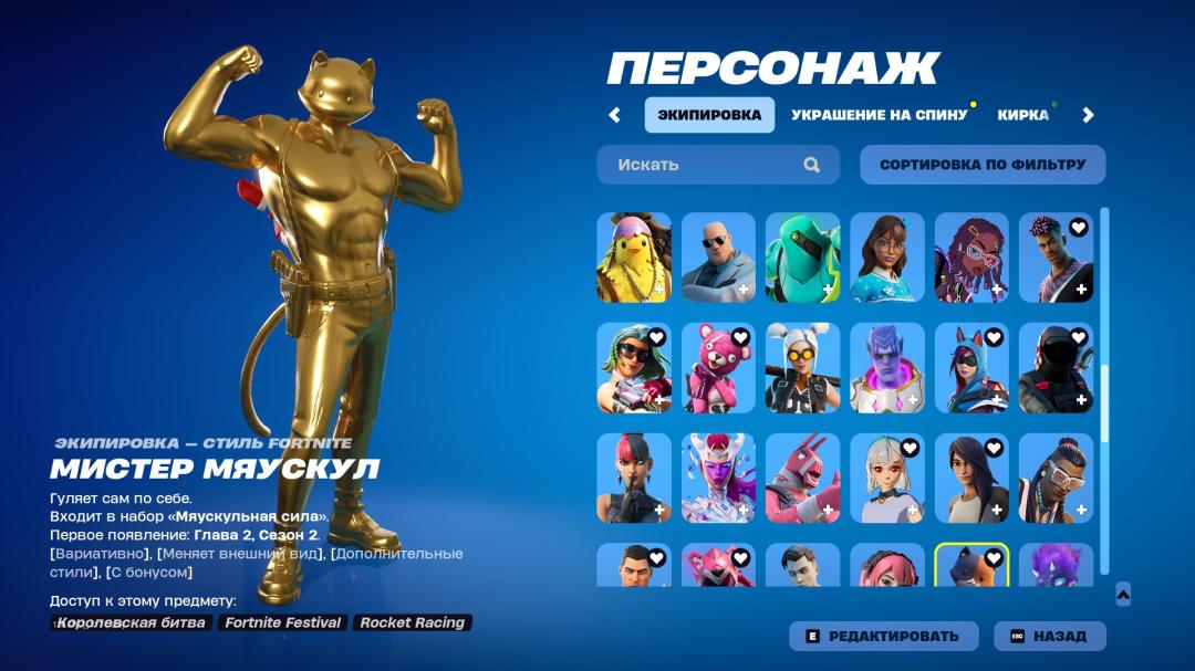 Diverse Fortnite Experience with 119 Unique Skins 🎭