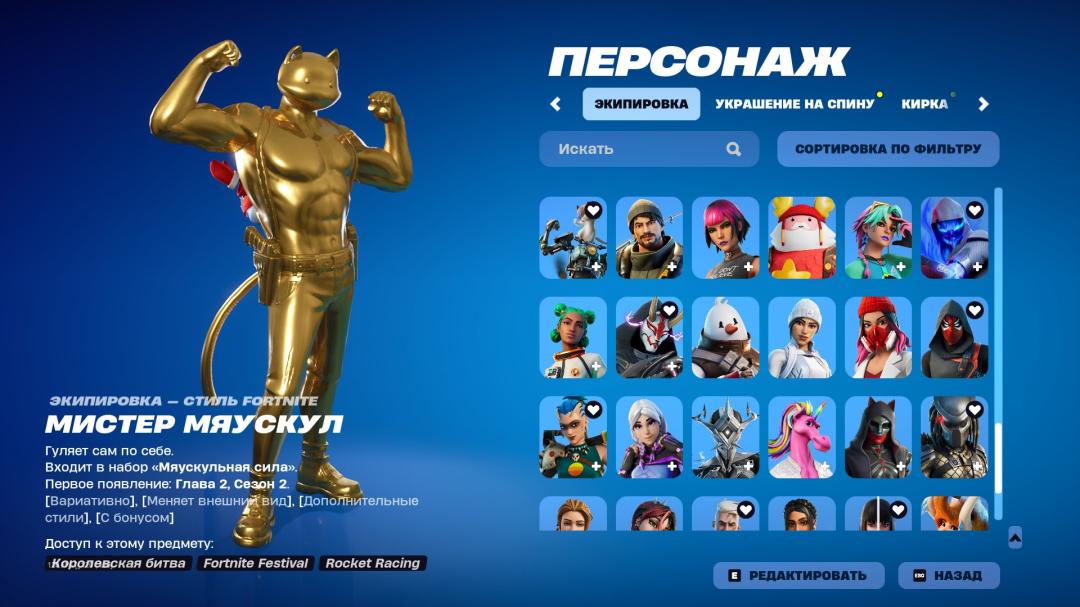 Diverse Fortnite Experience with 119 Unique Skins 🎭