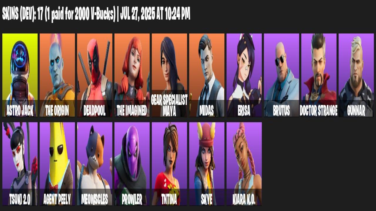 Diverse Fortnite Collection with 17 Unique Skins 🖥🎭