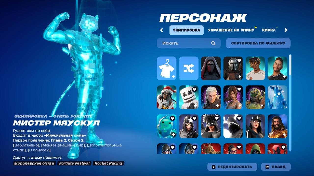 Diverse Fortnite Experience with 119 Unique Skins 🎭