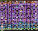 Diverse Collection of 223 Skins for PC Battle Royale 🎭🖥
