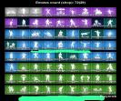 Diverse Collection of 48 Skins for Battle Royale on Xbox