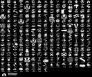 Battle Royale Collection with 97 Unique Skins on PC 🎭🖥