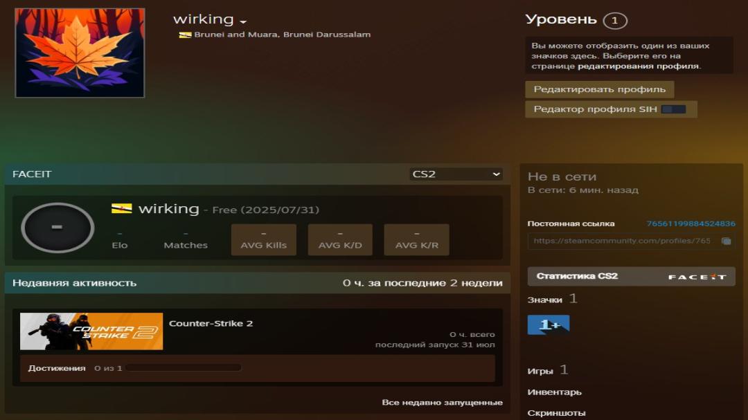 Prime аккаунт с FACEIT ELO 1000 и регистрацией