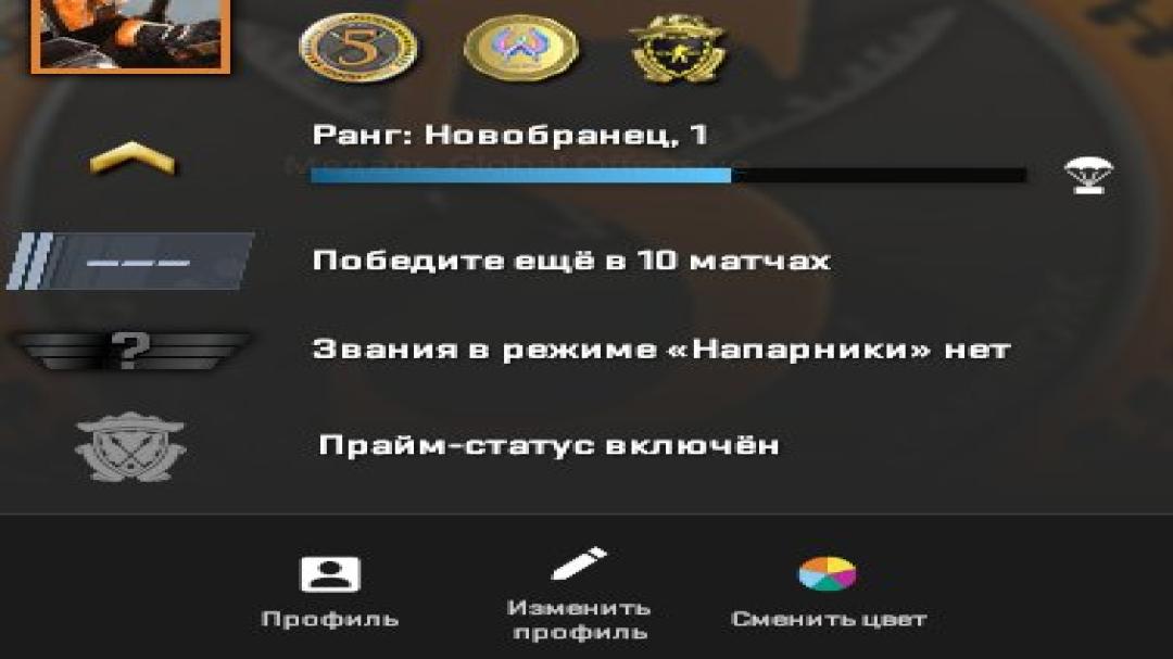 Prime аккаунт с 1 CS Rating и FACEIT ELO 1