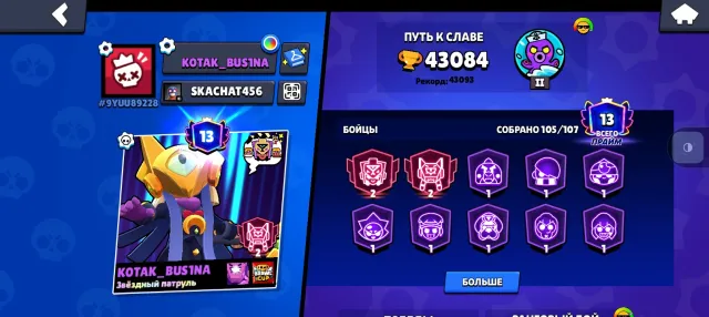 fat account since 2021, 43093 trophies, 105 brawlers, 13 primes