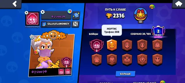 In DETAILED DESCRIPTION EVERYTHING IS WRITTEN, 2316 trophies, 24 brawlers, 2 primes