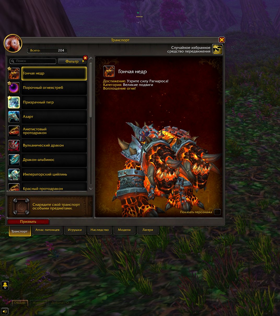 Personal account since 2008, Spectral Tiger, Mimiron head, 35 level, Human, Paladin