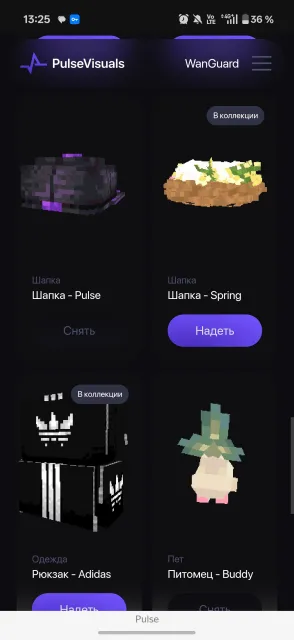 🔆🔅🔆Pulse Visuals Lifetime+beta many cosmetic🔆🔅🔆, Sale